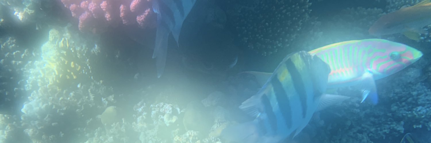 ThinkSo1's profile banner image