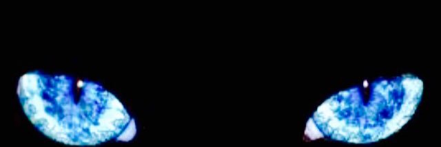 alakhtbut's profile banner image
