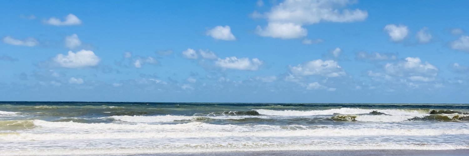 Valemacieel's profile banner image
