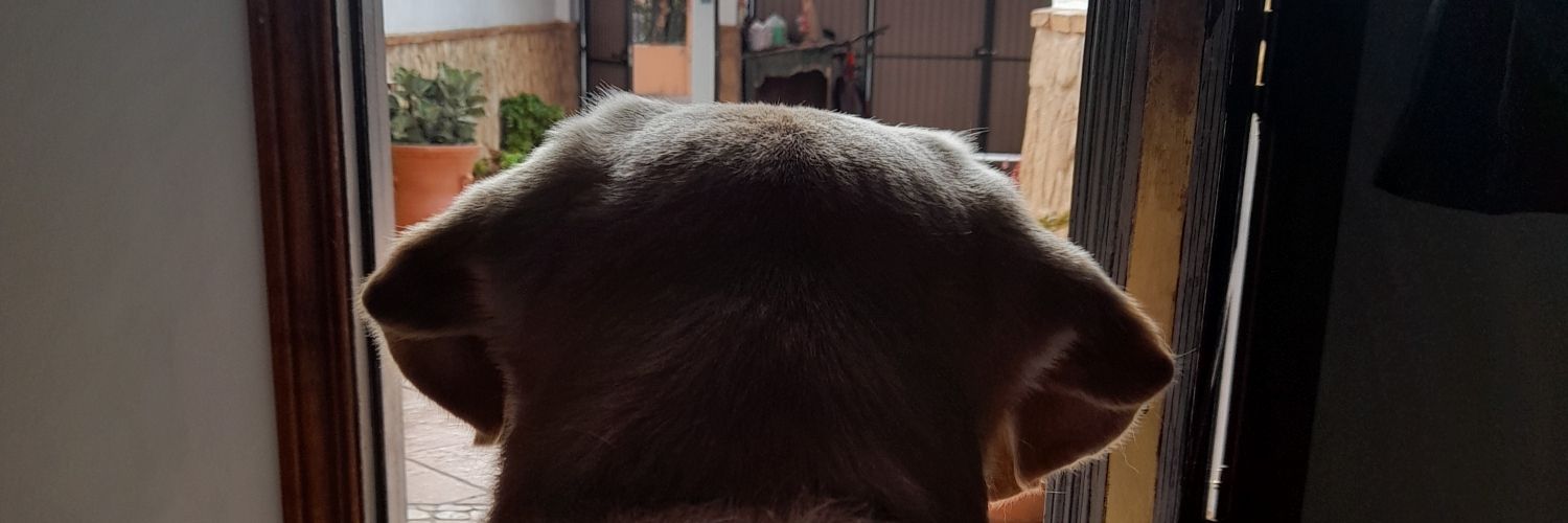 Huguitojd's profile banner image
