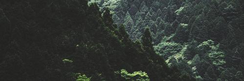 Tusbear's profile banner image