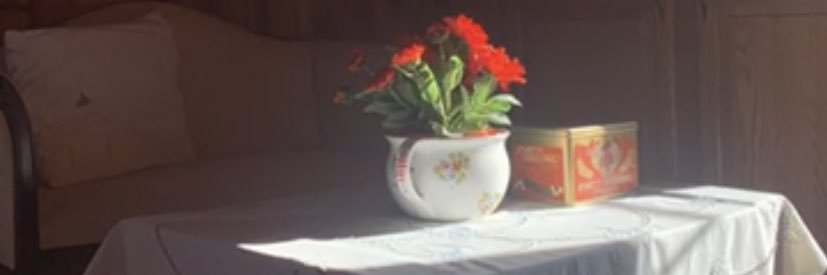 jxlienn's profile banner image