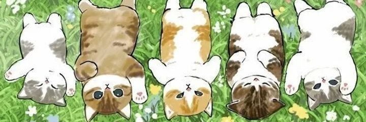 firetiger_btc's profile banner image