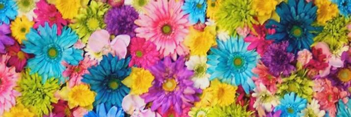 84motchan's profile banner image