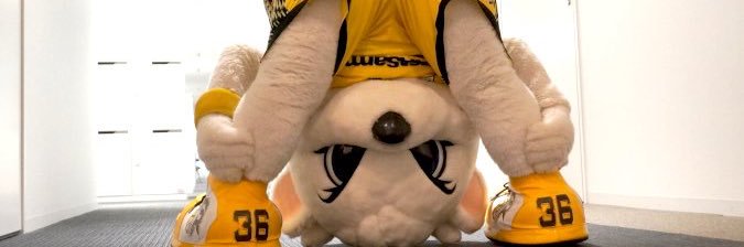 saeeeee_46's profile banner image