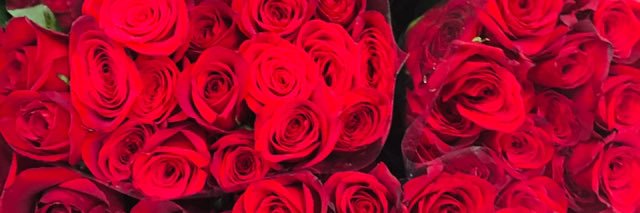 Shantee_14's profile banner image