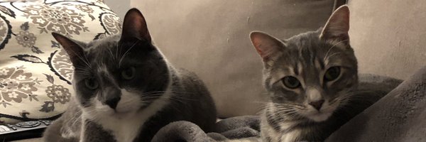 geoffrich_ Profile Banner