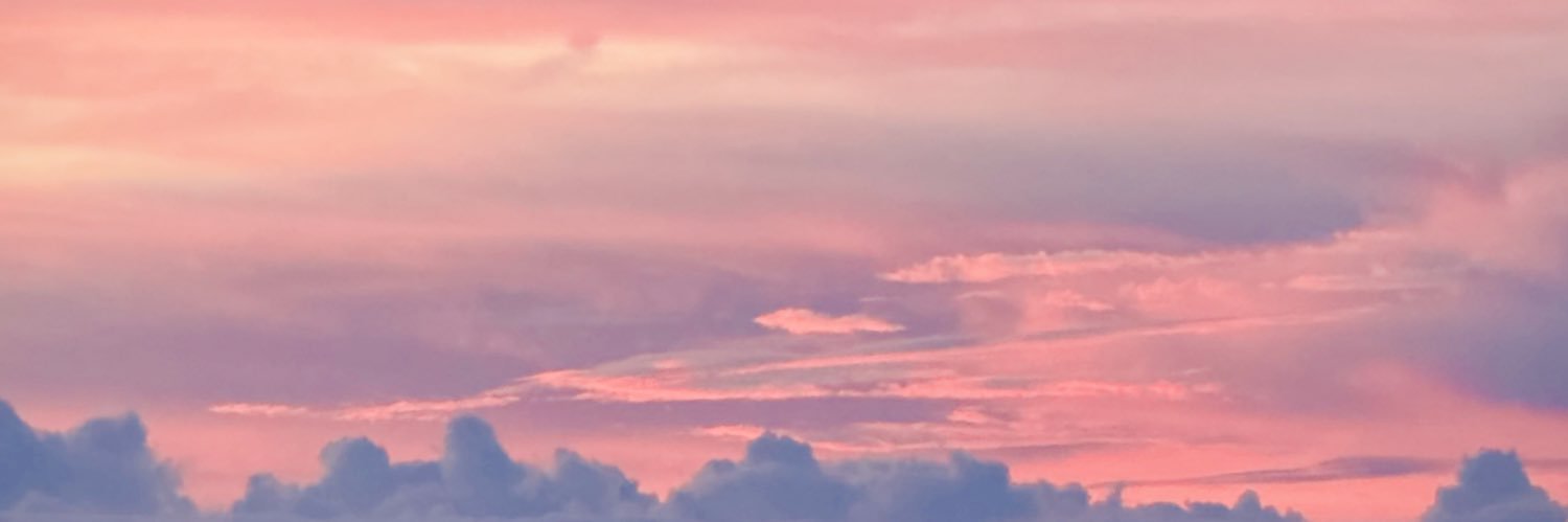 Fanism_'s profile banner image