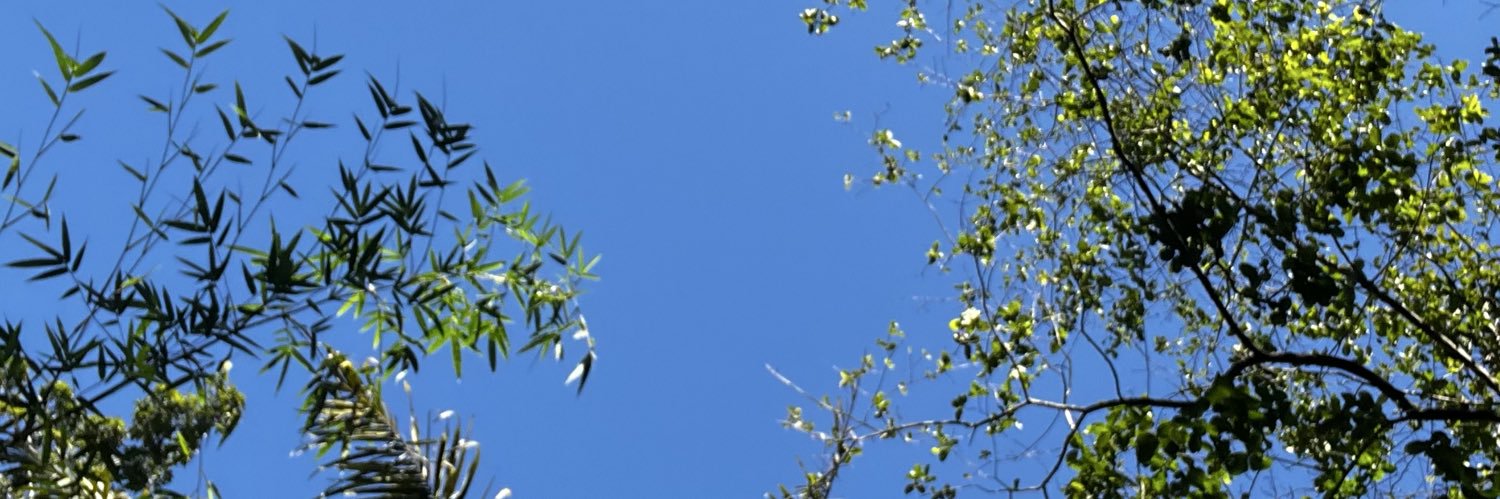 BielRF70's profile banner image
