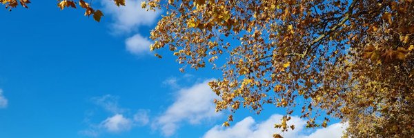 WetterKontor Profile Banner