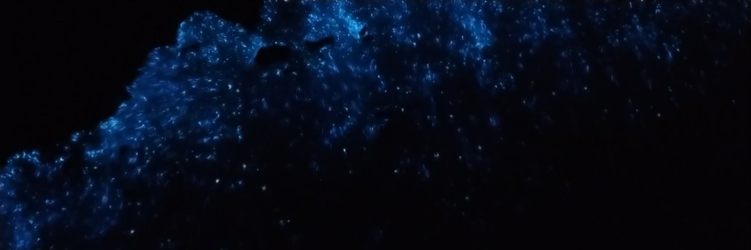 Mark Andrew Chambers banner