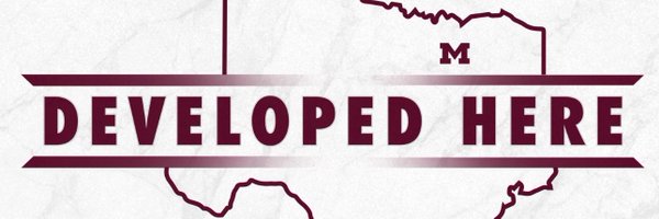 LadySkeeterBall Profile Banner