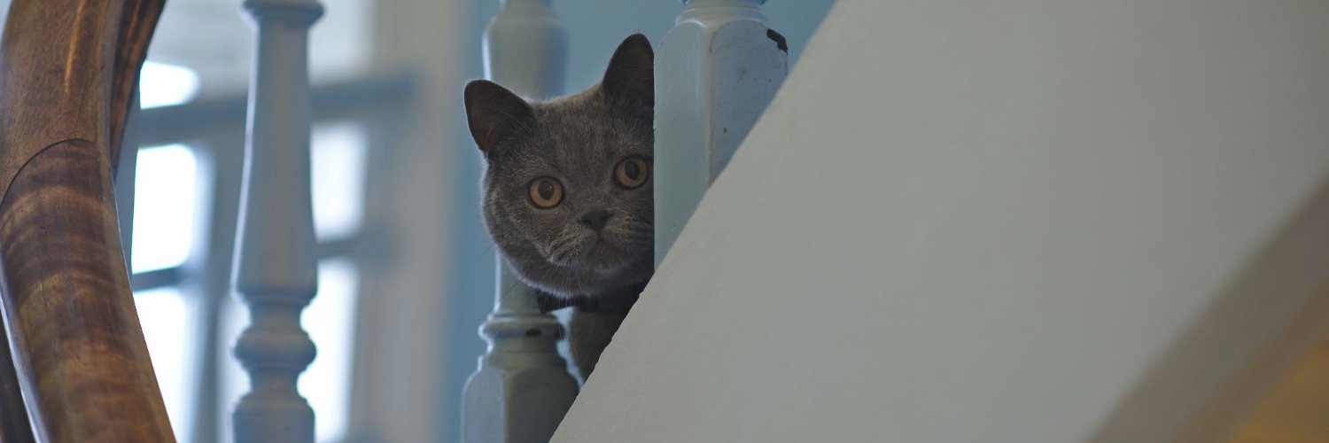 Odin Hørthe Omdal banner