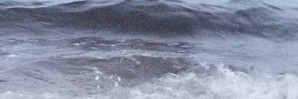 ChelmsfordSci Profile Banner