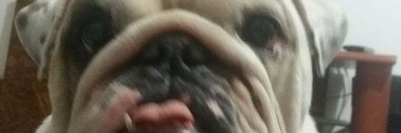 giovanny_rojo's profile banner image