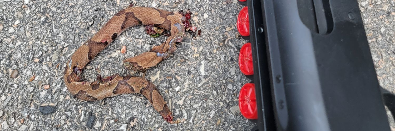 Deaf Smith ☦️ banner