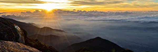andreinagz Profile Banner