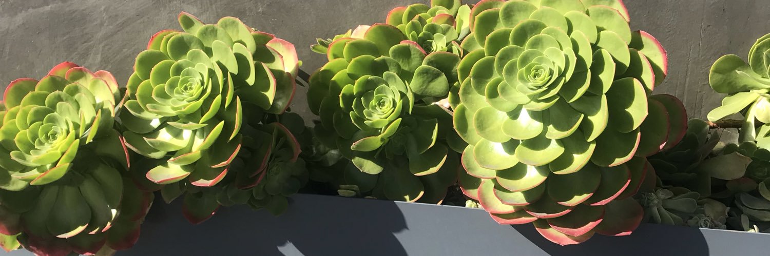 ObviitsEm's profile banner image