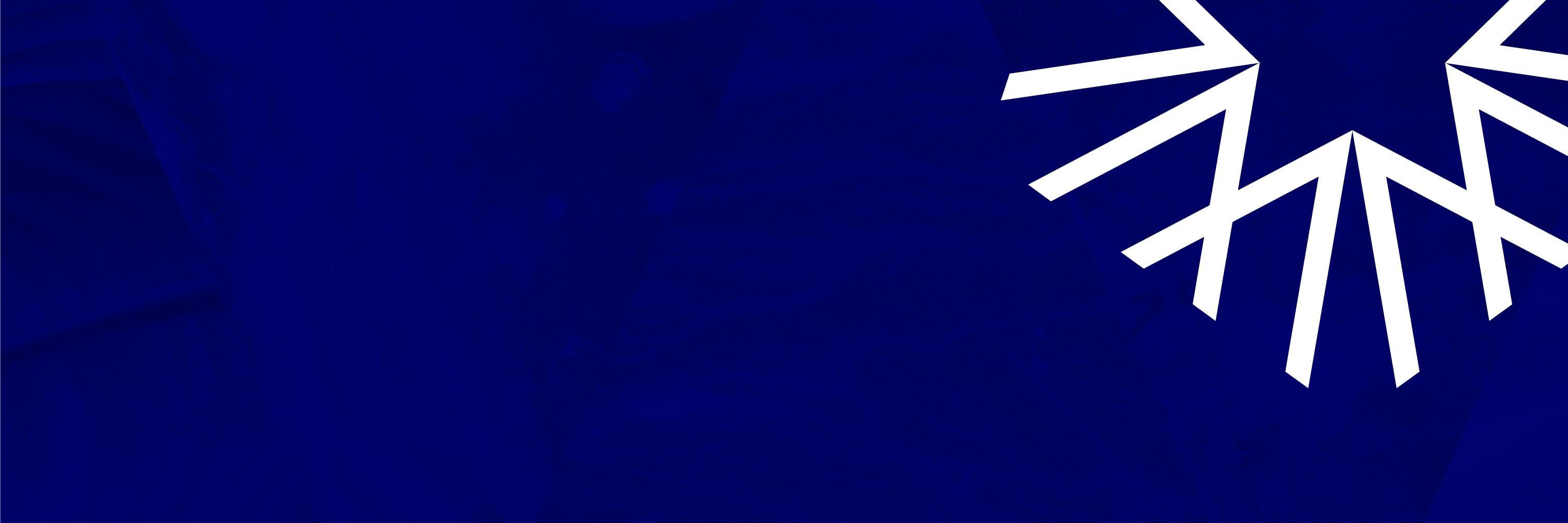 White Star Capital banner