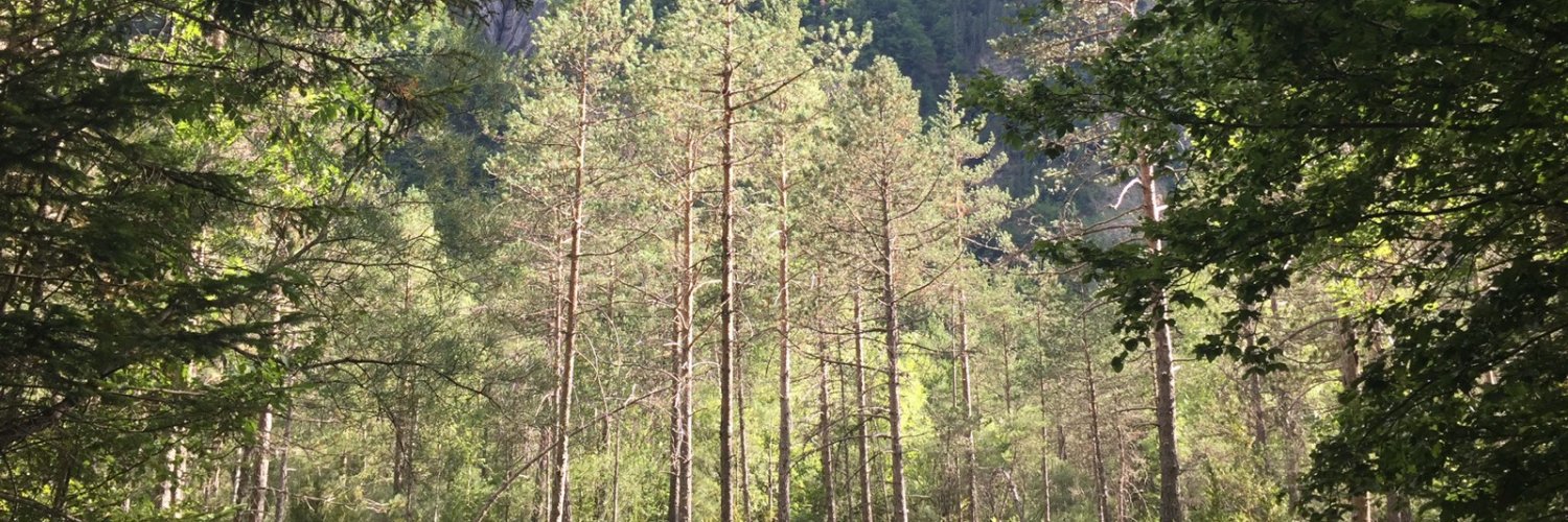 Kim_Starkey_'s profile banner image