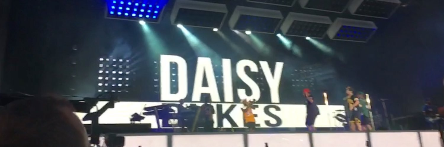 daisy banner
