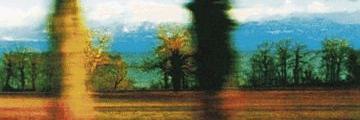 RoryDWebb's profile banner image