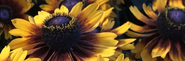 MadeInTheUSANJ Profile Banner