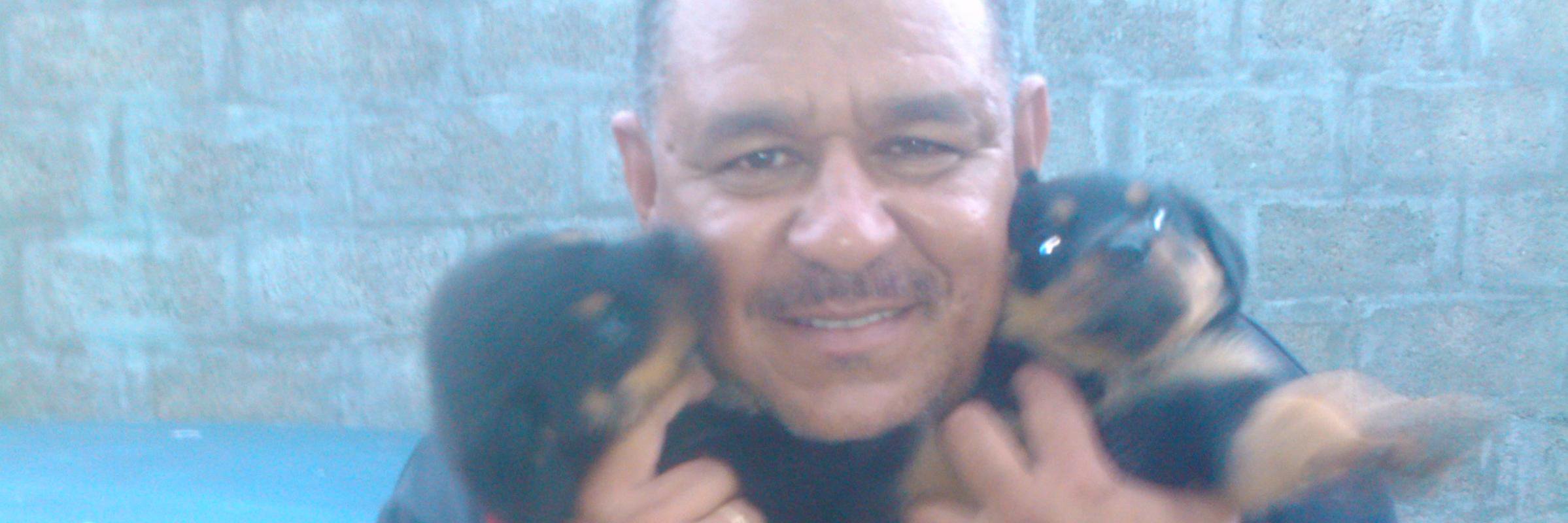 Piguinono's profile banner image