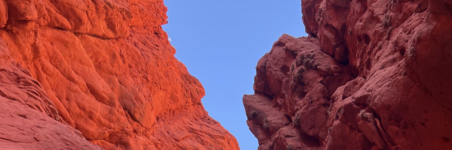 jazbenso's profile banner image