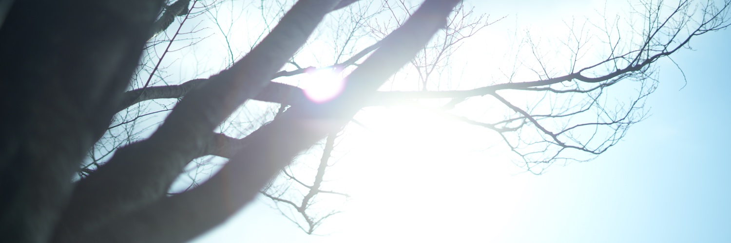 sulia06's profile banner image