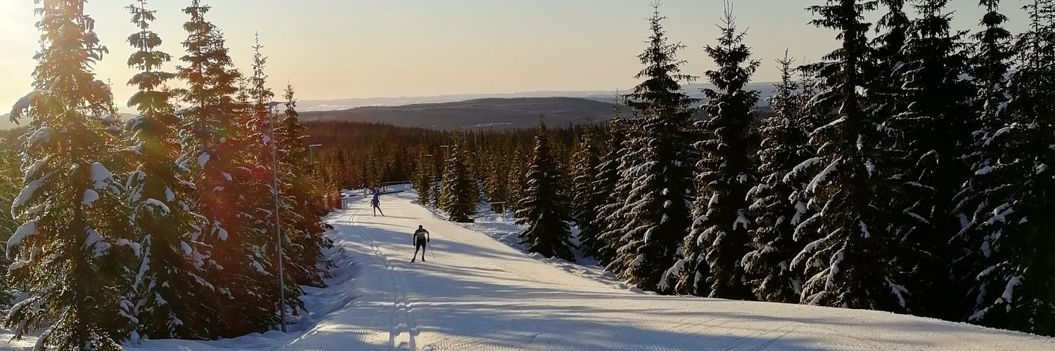 JoniMustonen's profile banner image