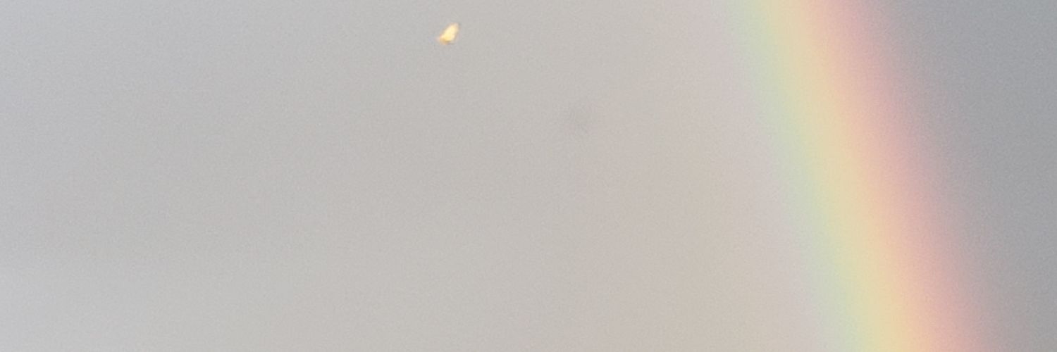 MPolsean's profile banner image