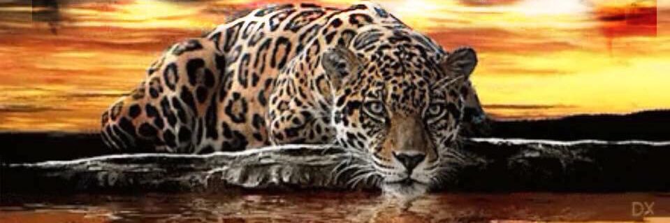 Alvina_MM's profile banner image