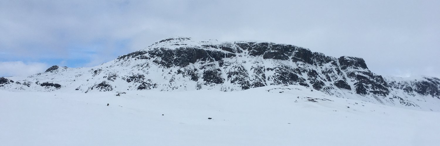 Eivind Ystrøm's banner