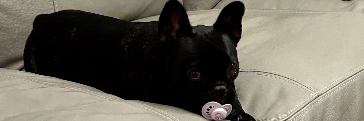 sussddd's profile banner image