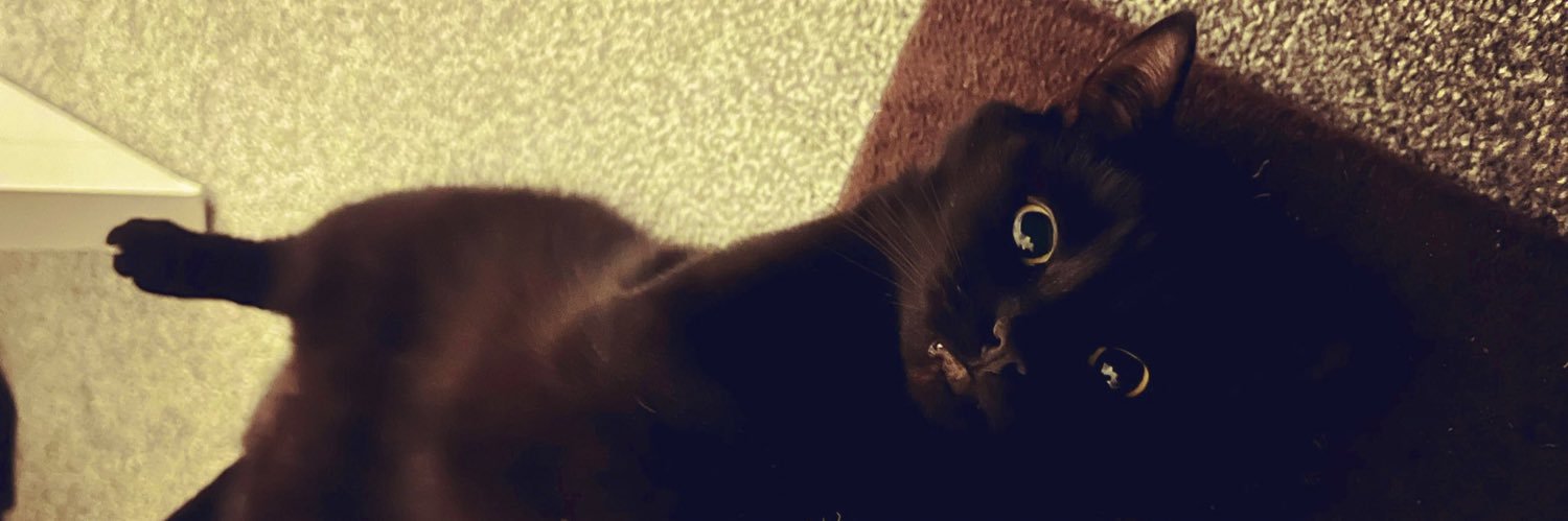 done_1 🏴󠁧󠁢󠁳󠁣󠁴󠁿 banner