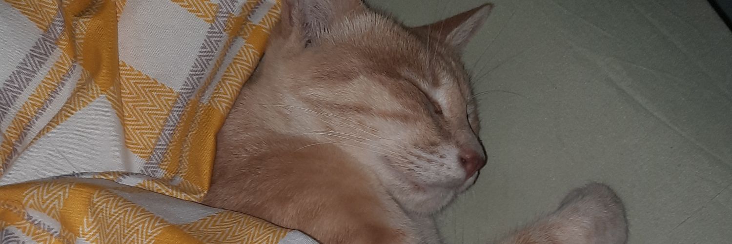 shfaem_'s profile banner image