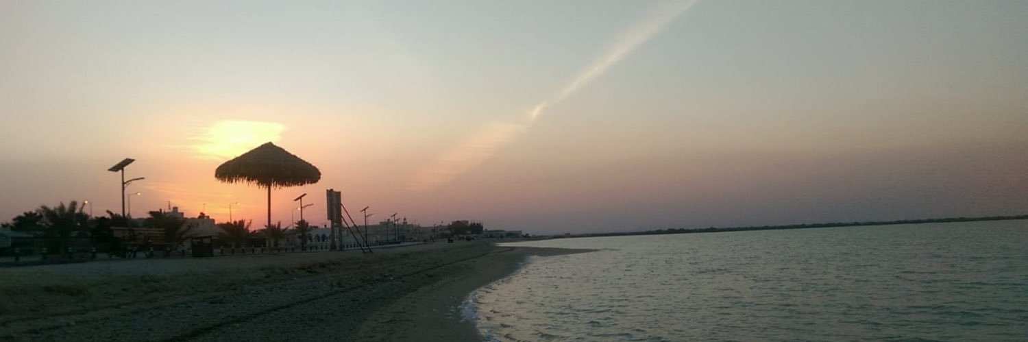 alinarshah's profile banner image