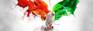 AadityS's profile banner image