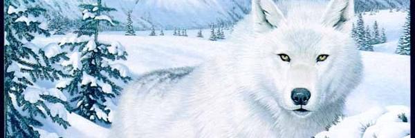 vic027's profile banner image