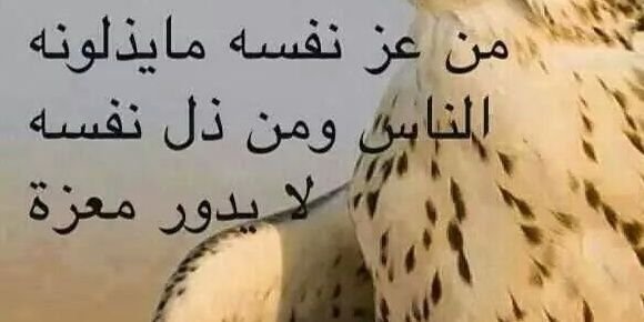 khalidashirif's profile banner image