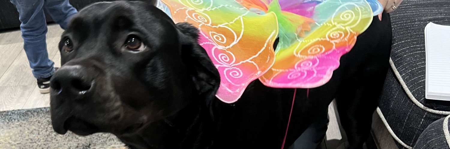 MB231993's profile banner image