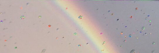 Michelle R. Zimmerman, PhD #MIEExpert #LongCovid banner