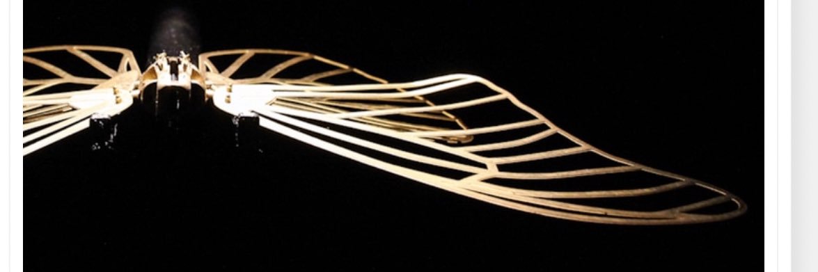 Folded Feather banner