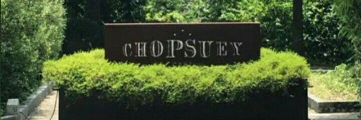 ChopsueyCafe's profile banner image