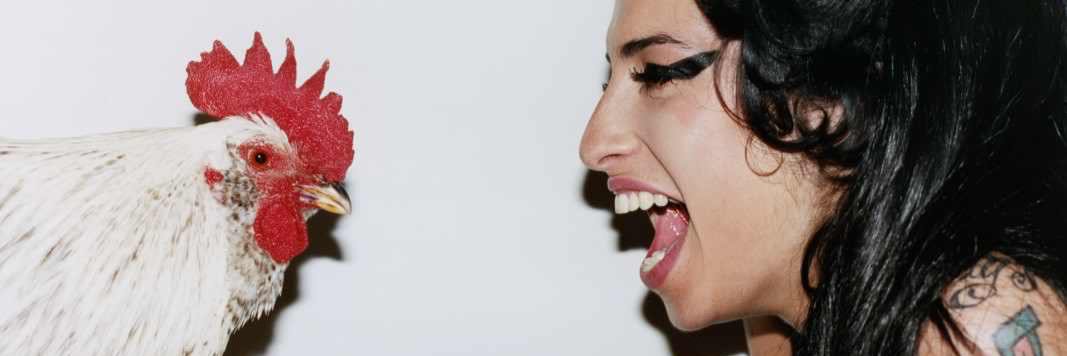 leahambus's profile banner image