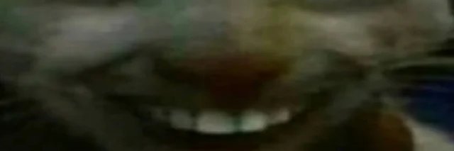 Le___Toucan's profile banner image