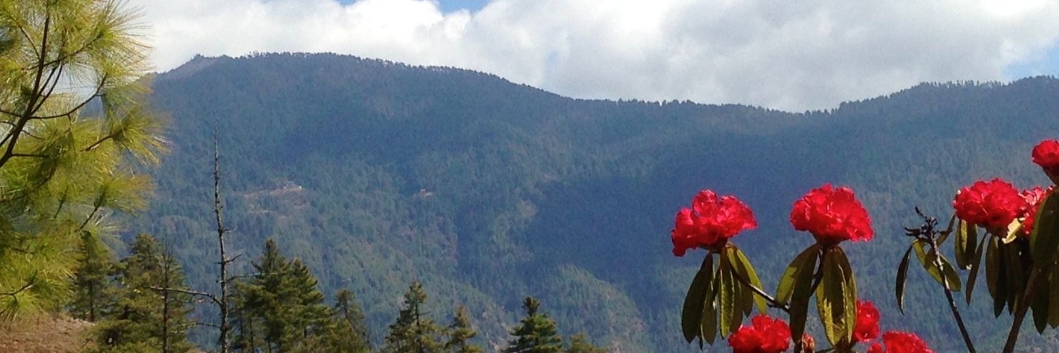 Christina Devitt banner