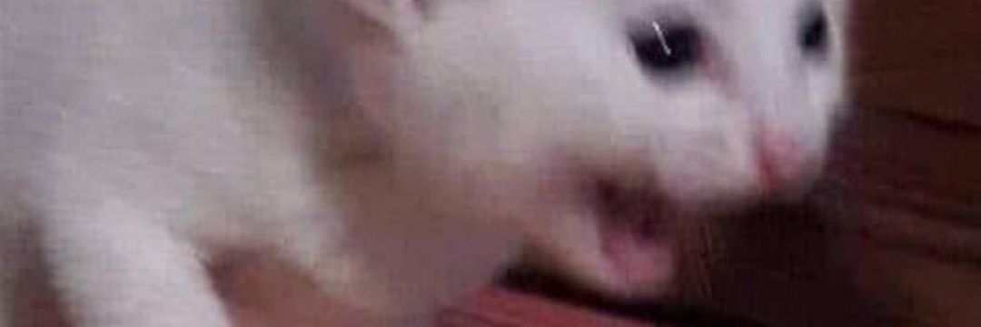 DivinelyBeauty's profile banner image
