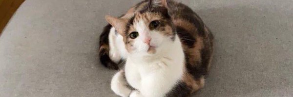 dadubiouschunk Profile Banner